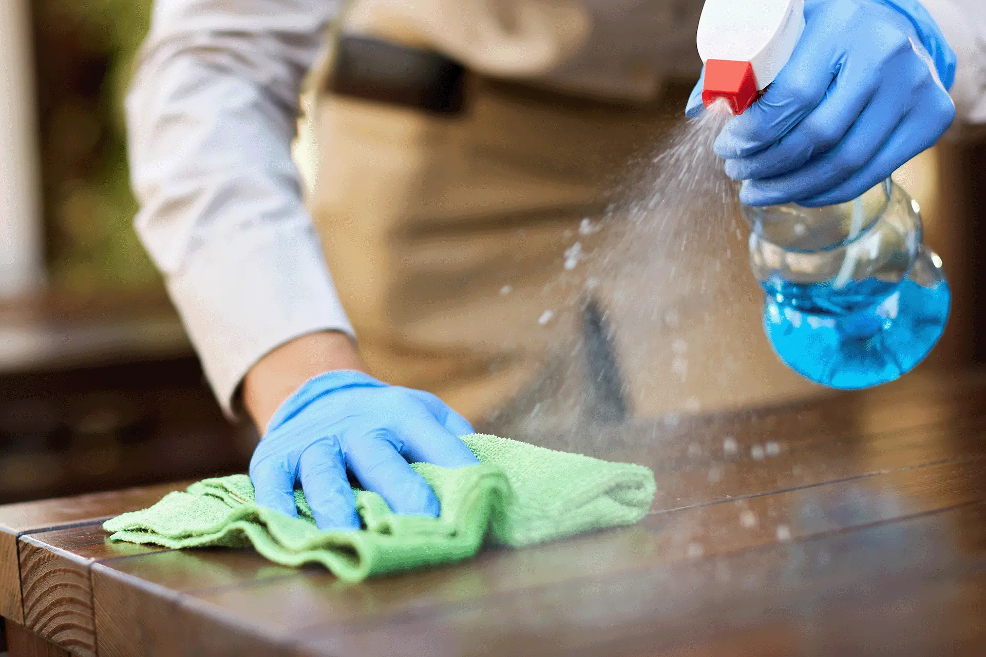 services cleaning